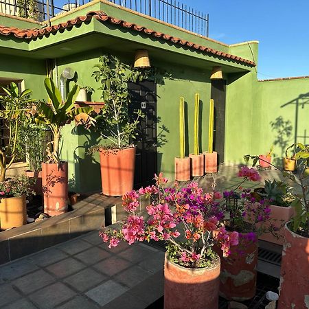 Hostal Nordes Oaxaca Exterior photo