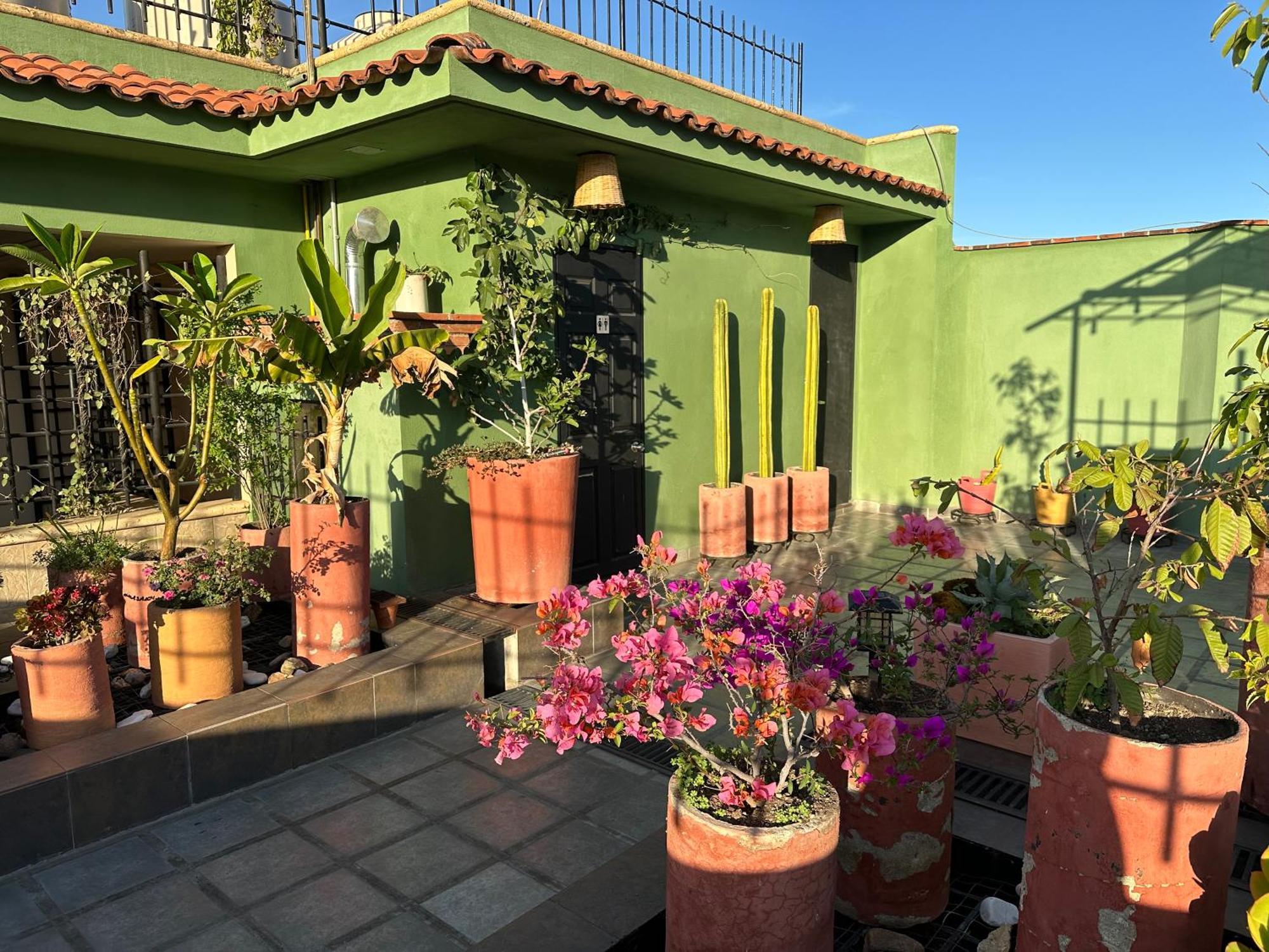 Hostal Nordes Oaxaca Exterior photo